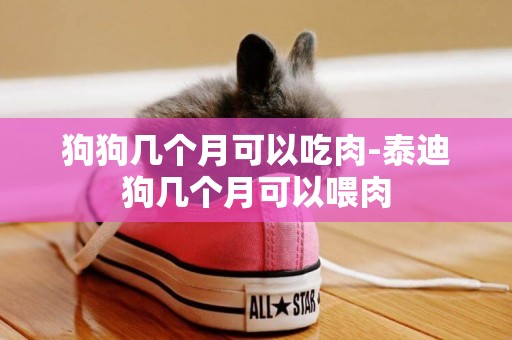 狗狗幾個月可以吃肉-泰迪狗幾個月可以喂肉