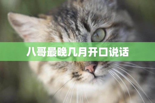 八哥最晚幾月開口說話