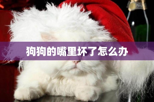 狗狗的嘴里壞了怎么辦