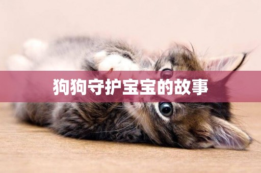 狗狗守護寶寶的故事