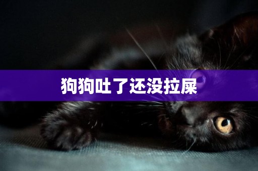狗狗吐了還沒拉屎