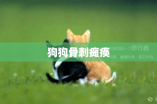狗狗骨刺癱瘓