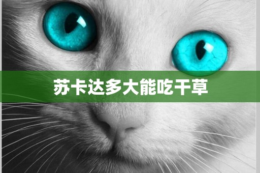 蘇卡達多大能吃干草