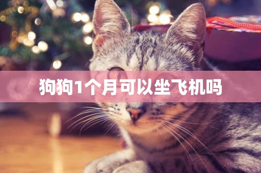 狗狗1個月可以坐飛機嗎