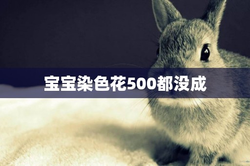 寶寶染色花500都沒成