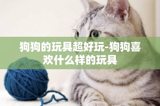 狗狗的玩具超好玩-狗狗喜歡什么樣的玩具