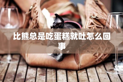 比熊總是吃蛋糕就吐怎么回事