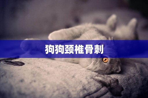 狗狗頸椎骨刺
