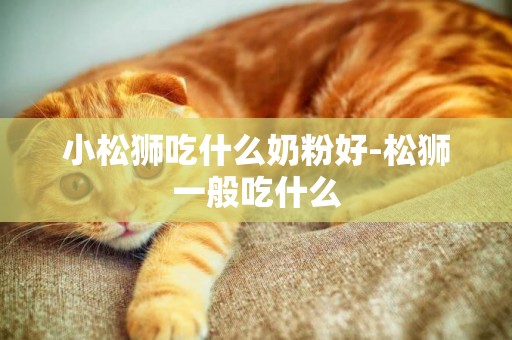 小松獅吃什么奶粉好-松獅一般吃什么