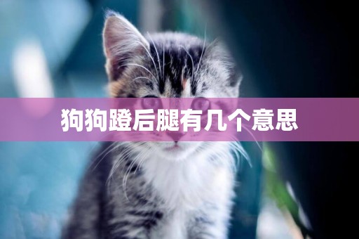 狗狗蹬后腿有幾個意思