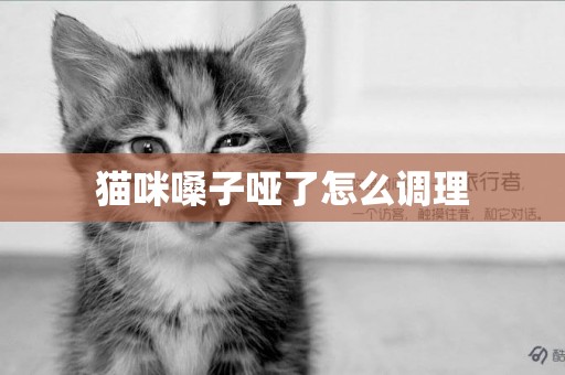 貓咪嗓子啞了怎么調理