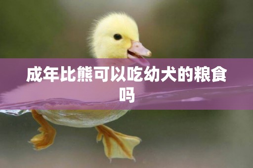 成年比熊可以吃幼犬的糧食嗎