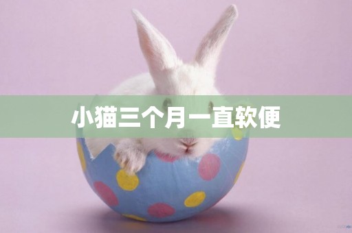 小貓三個月一直軟便