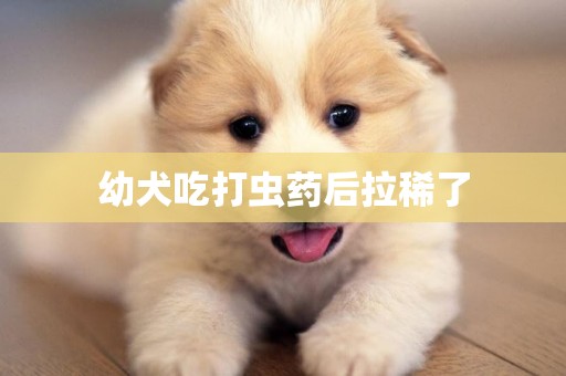 幼犬吃打蟲藥后拉稀了