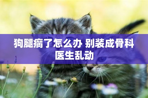 狗腿瘸了怎么辦 別裝成骨科醫生亂動