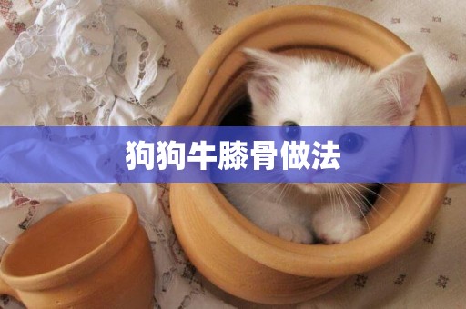 狗狗牛膝骨做法