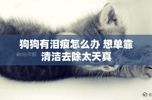 狗狗有淚痕怎么辦 想單靠清潔去除太天真