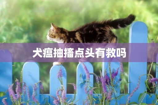 犬瘟抽搐點頭有救嗎