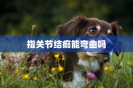 指關節結痂能彎曲嗎