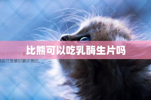 比熊可以吃乳酶生片嗎