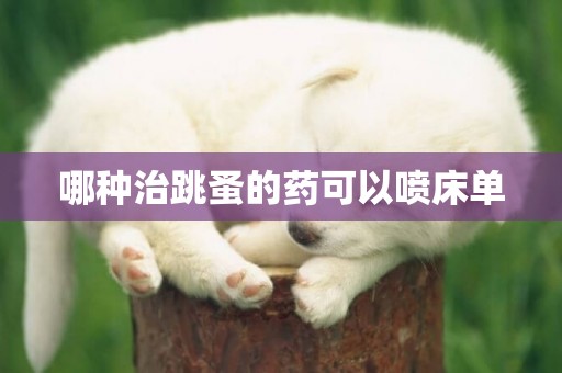 哪種治跳蚤的藥可以噴床單