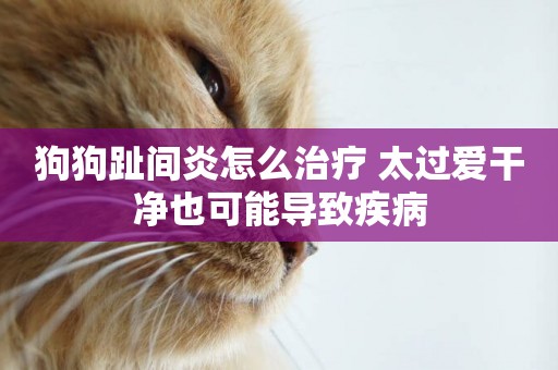 狗狗趾間炎怎么治療 太過愛干凈也可能導致疾病