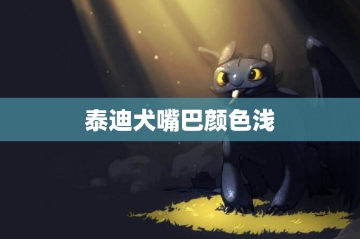 泰迪犬嘴巴顏色淺