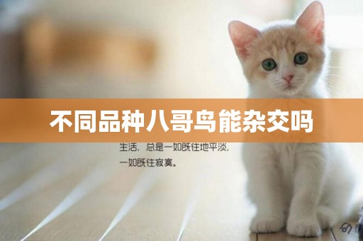 不同品種八哥鳥能雜交嗎