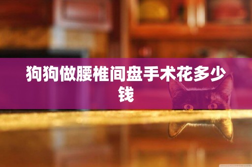 狗狗做腰椎間盤手術花多少錢