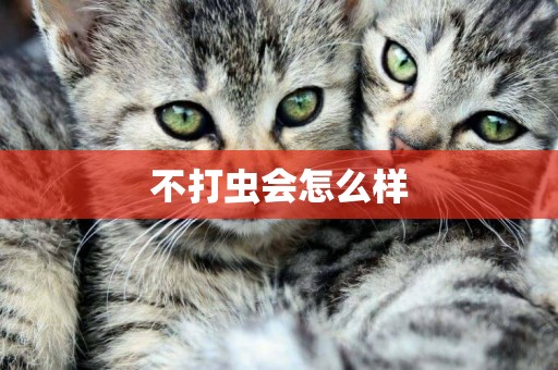 不打蟲會怎么樣