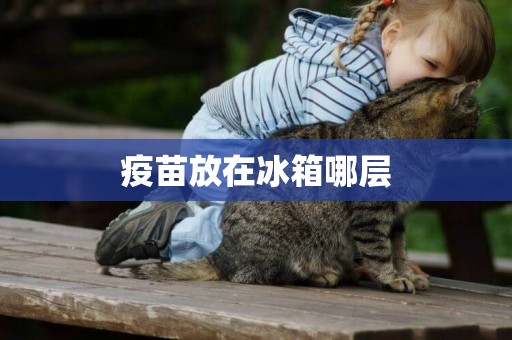 疫苗放在冰箱哪層