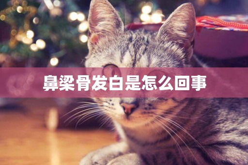 鼻梁骨發白是怎么回事