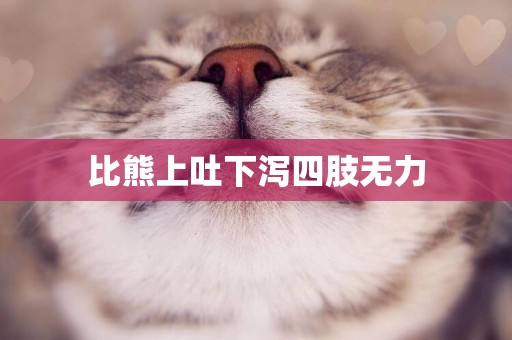 比熊上吐下瀉四肢無力