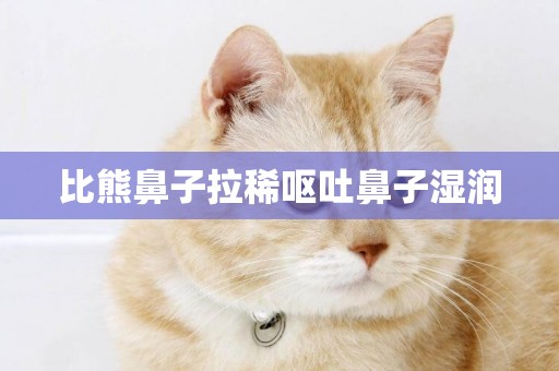 比熊鼻子拉稀嘔吐鼻子濕潤