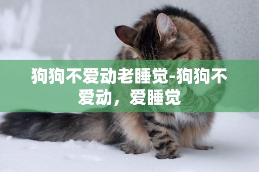 狗狗不愛動老睡覺-狗狗不愛動，愛睡覺
