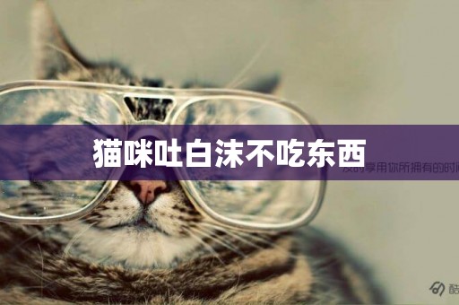 貓咪吐白沫不吃東西