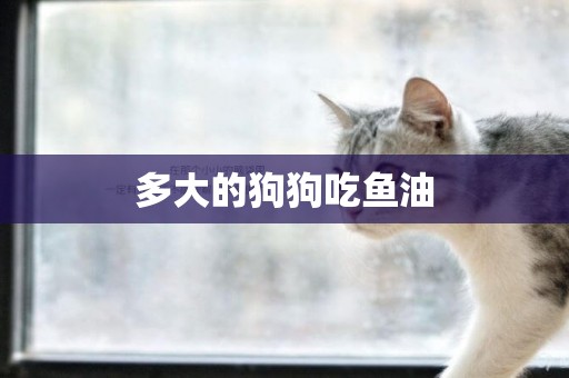 多大的狗狗吃魚油