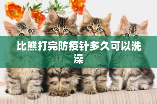 比熊打完防疫針多久可以洗澡