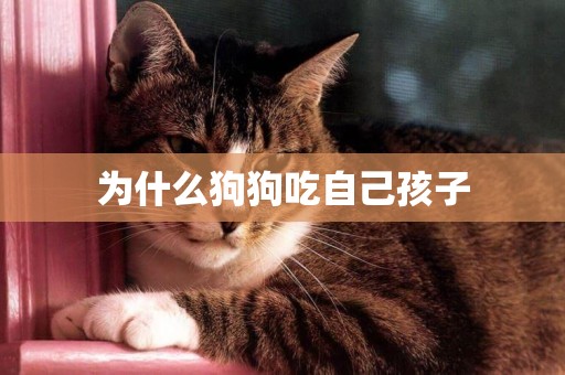 為什么狗狗吃自己孩子