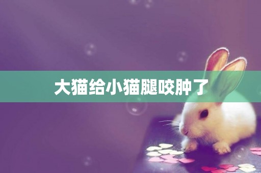 大貓給小貓腿咬腫了