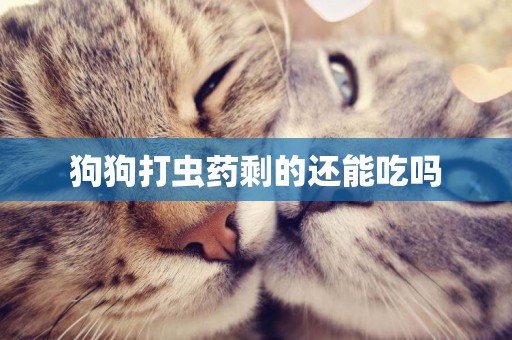 狗狗打蟲藥剩的還能吃嗎