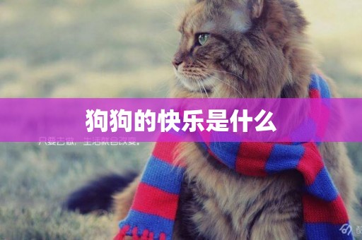 狗狗的快樂是什么
