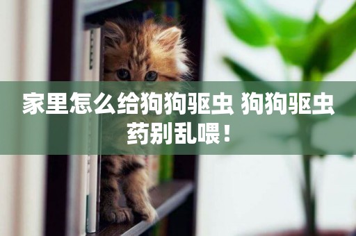 家里怎么給狗狗驅蟲 狗狗驅蟲藥別亂喂！
