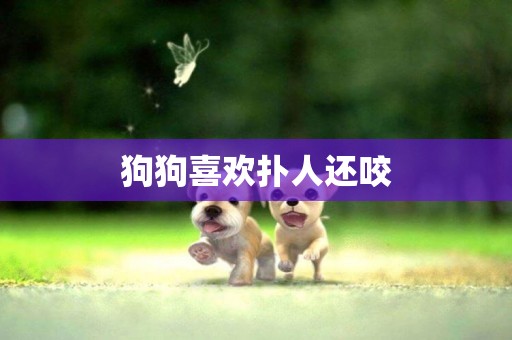 狗狗喜歡撲人還咬