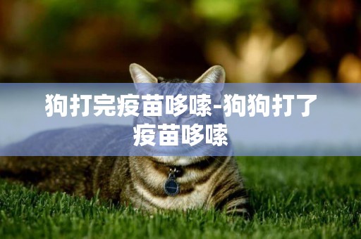 狗打完疫苗哆嗦-狗狗打了疫苗哆嗦