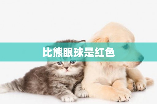 比熊眼球是紅色