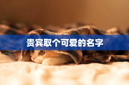 貴賓取個可愛的名字
