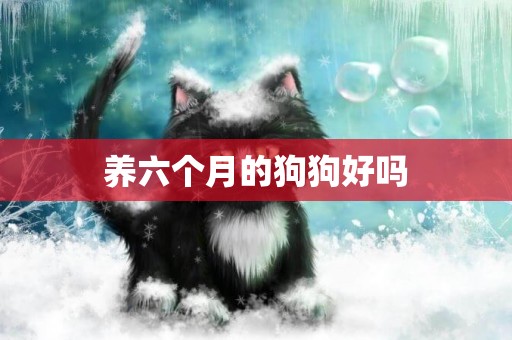 養六個月的狗狗好嗎
