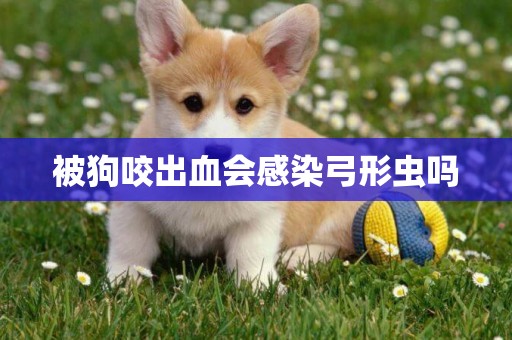 被狗咬出血會感染弓形蟲嗎