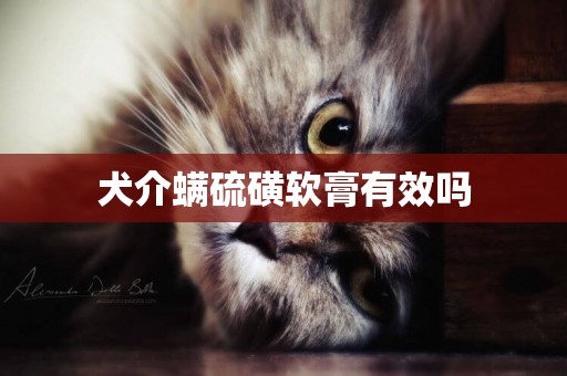 犬介螨硫磺軟膏有效嗎